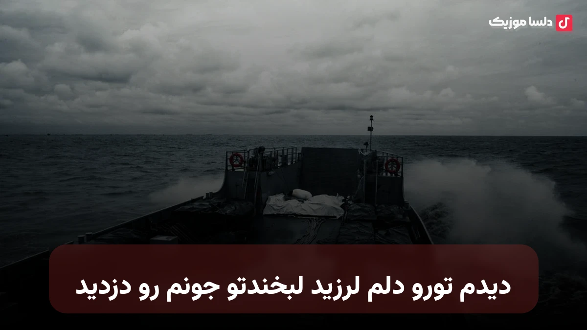 دیدم تورو دلم لرزید لبخندتو جونم رو دزدید صدای زن